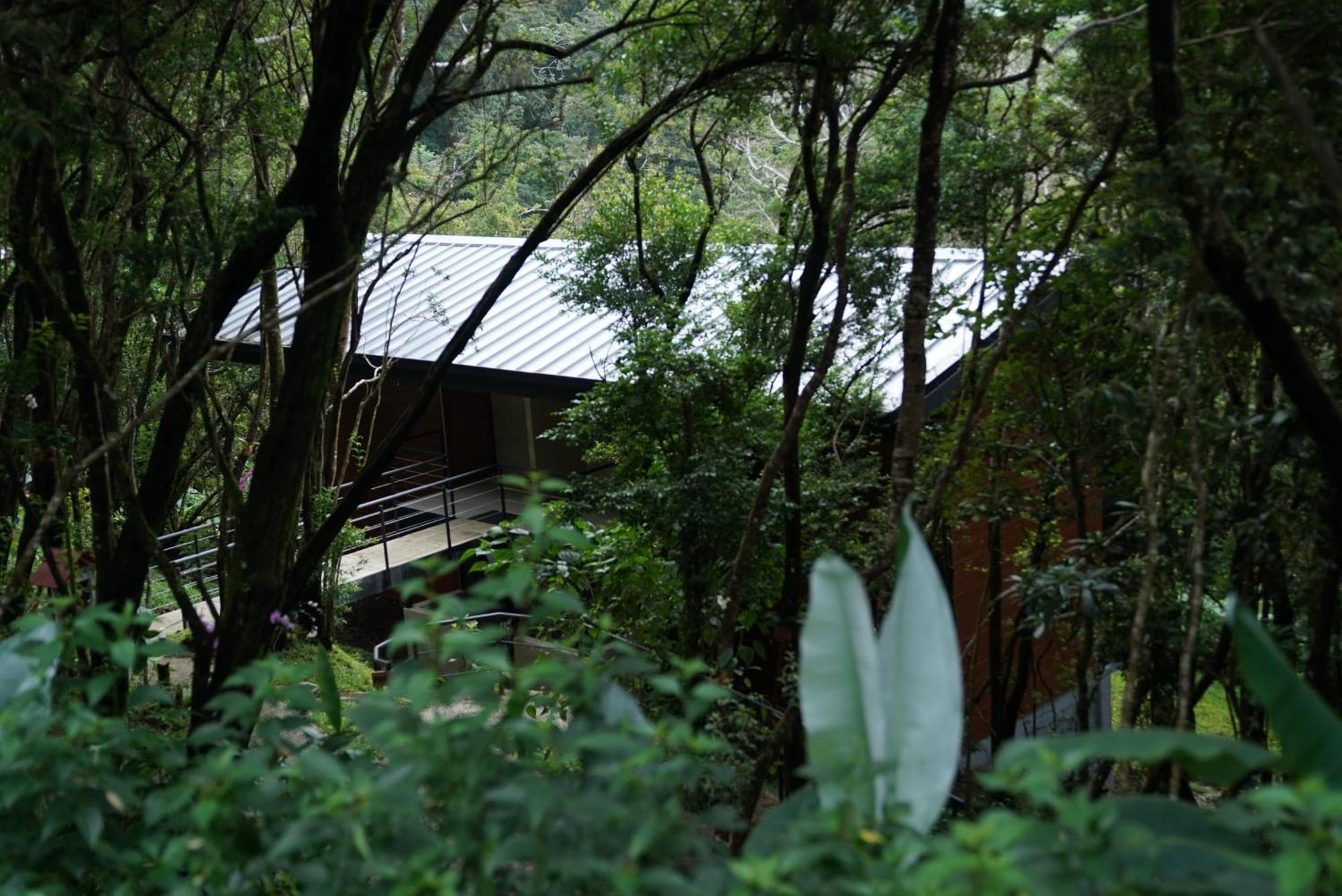 Koora Monteverde A Cloud Forest Hotel By Sandglass ภายนอก รูปภาพ