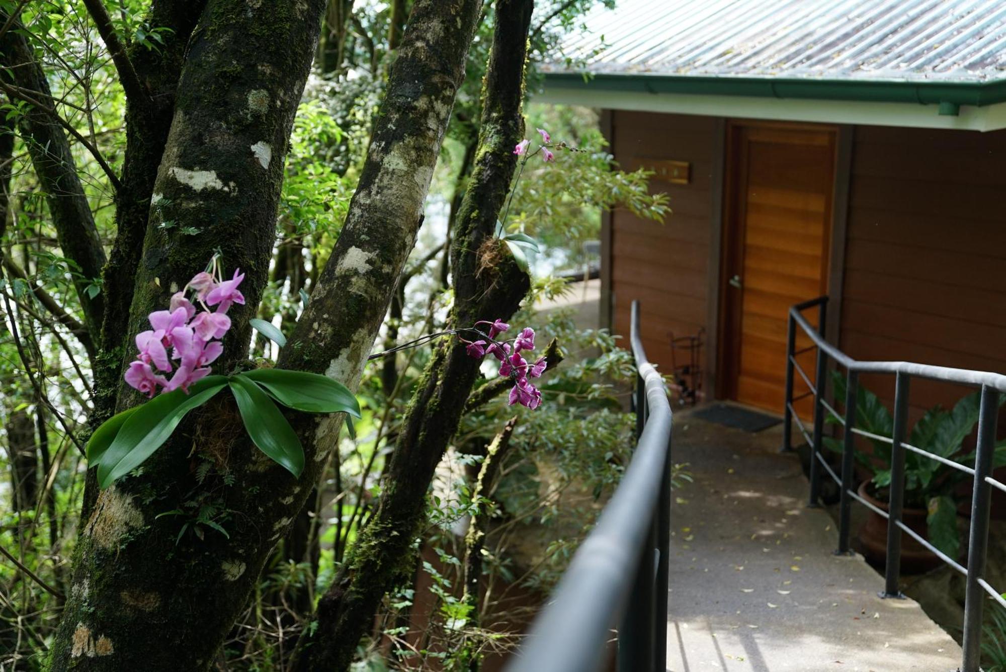 Koora Monteverde A Cloud Forest Hotel By Sandglass ภายนอก รูปภาพ