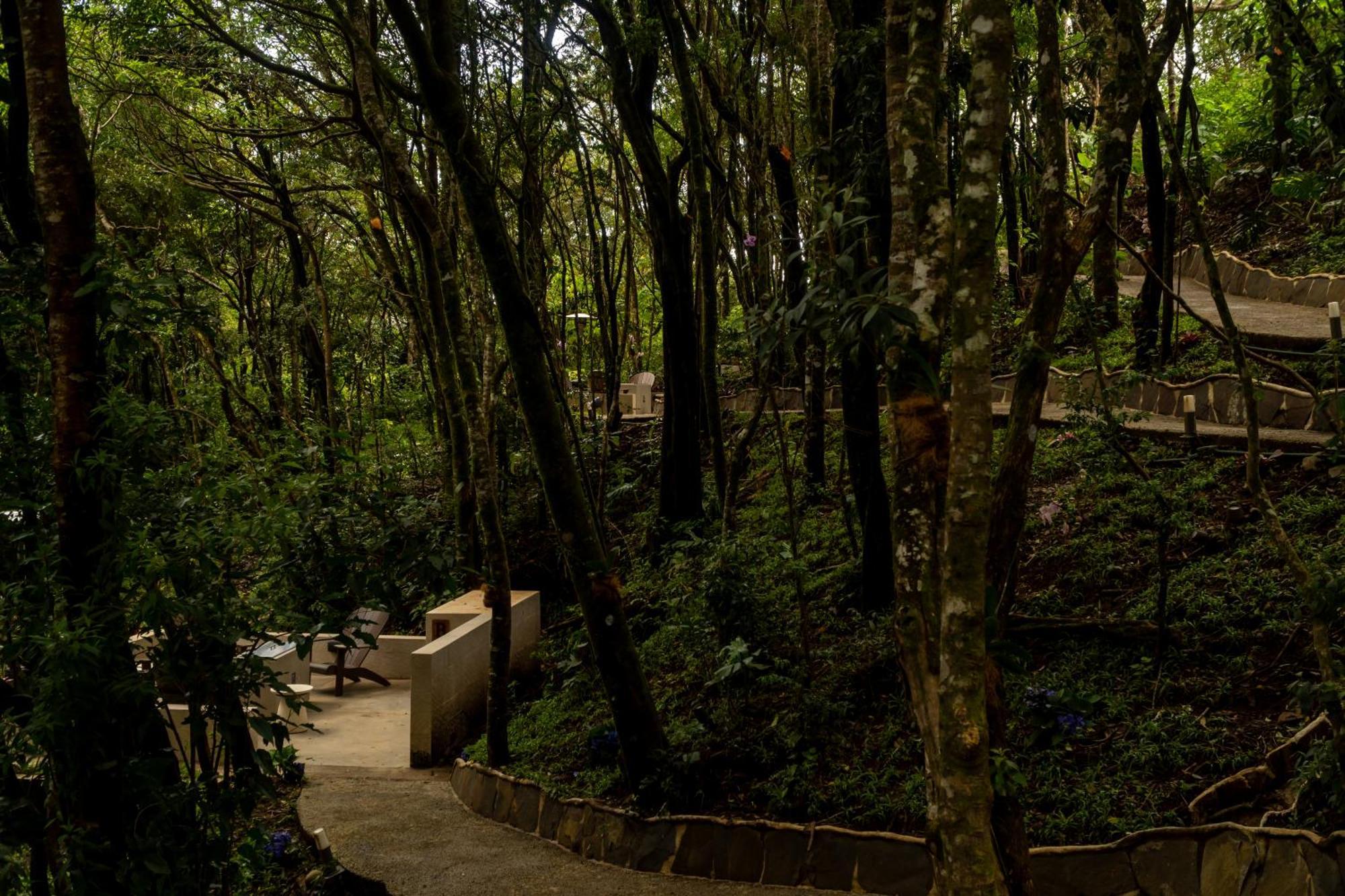 Koora Monteverde A Cloud Forest Hotel By Sandglass ภายนอก รูปภาพ